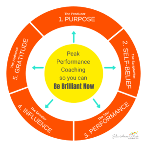 Peak performance model so you can be brilliant now